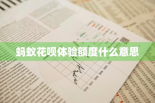 蚂蚁花呗体验额度什么意思