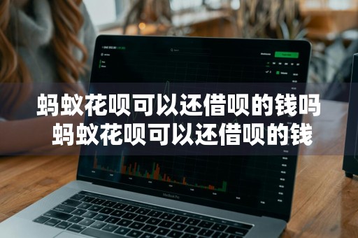蚂蚁花呗可以还借呗的钱吗 蚂蚁花呗可以还借呗的钱吗安全吗