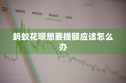 蚂蚁花呗想要提额应该怎么办