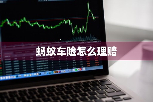 蚂蚁车险怎么理赔