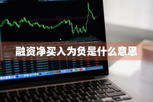 融资净买入为负是什么意思