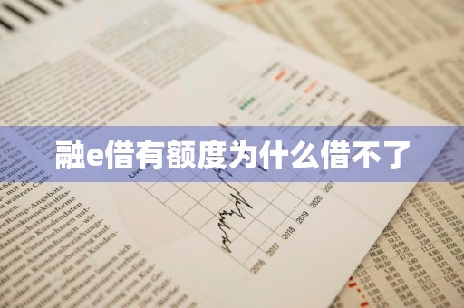 融e借有额度为什么借不了