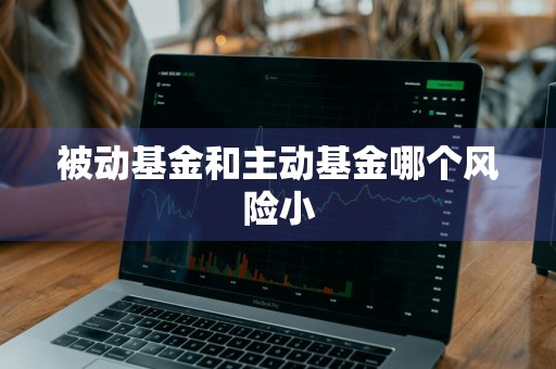 被动基金和主动基金哪个风险小