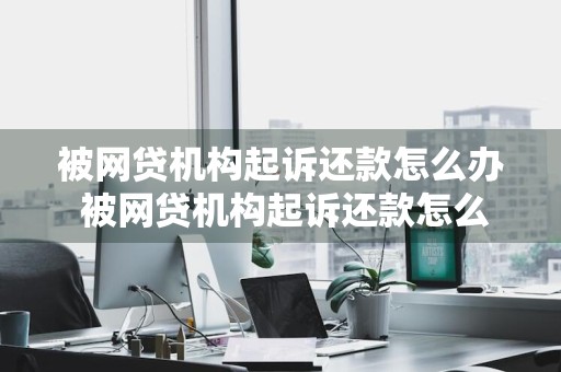 被网贷机构起诉还款怎么办 被网贷机构起诉还款怎么办理