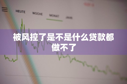 被风控了是不是什么贷款都做不了