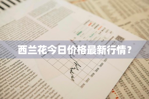 西兰花今日价格最新行情？
