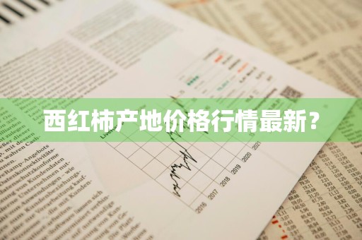 西红柿产地价格行情最新？