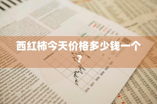 西红柿今天价格多少钱一个？