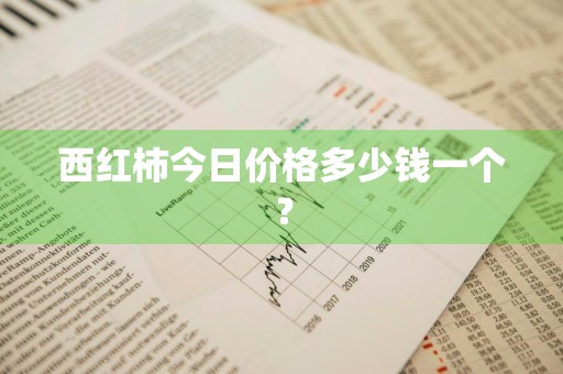 西红柿今日价格多少钱一个？