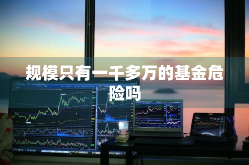 规模只有一千多万的基金危险吗