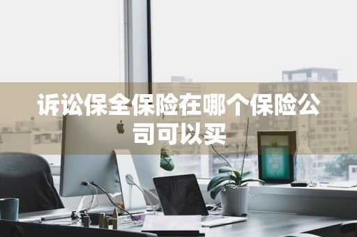 诉讼保全保险在哪个保险公司可以买
