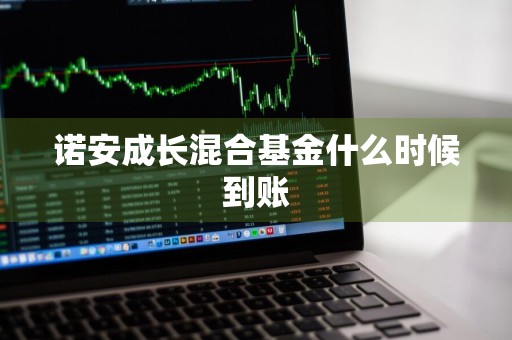 诺安成长混合基金什么时候到账