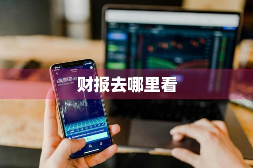 财报去哪里看