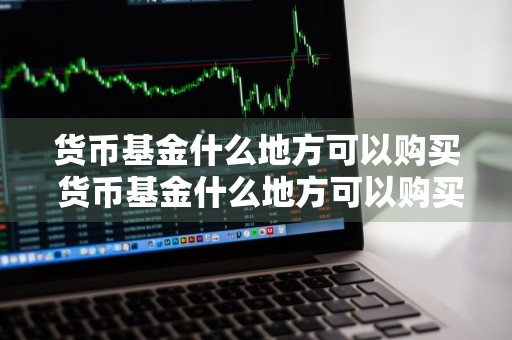 货币基金什么地方可以购买 货币基金什么地方可以购买呢