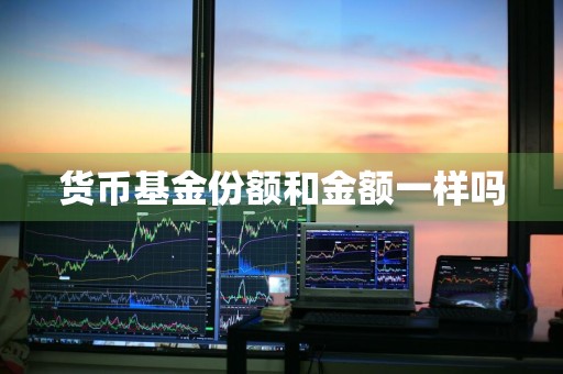 货币基金份额和金额一样吗