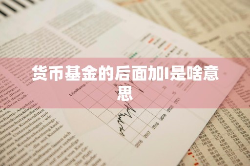 货币基金的后面加I是啥意思