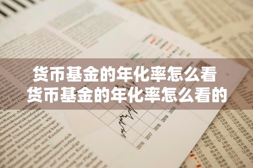 货币基金的年化率怎么看 货币基金的年化率怎么看的