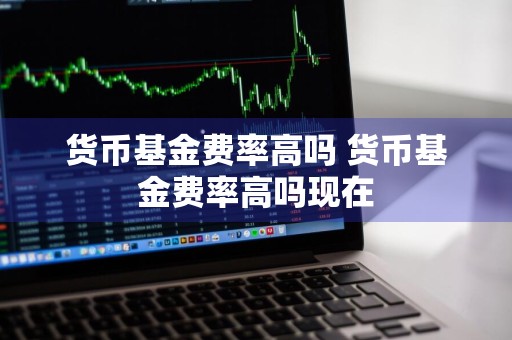 货币基金费率高吗 货币基金费率高吗现在