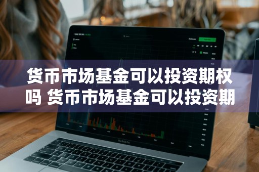 货币市场基金可以投资期权吗 货币市场基金可以投资期权吗为什么