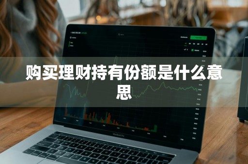 购买理财持有份额是什么意思