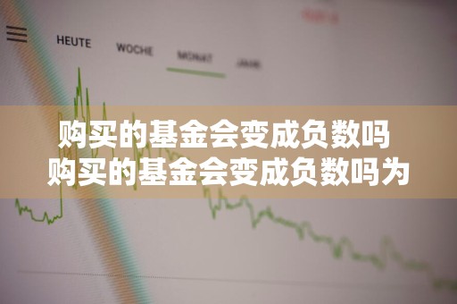 购买的基金会变成负数吗 购买的基金会变成负数吗为什么