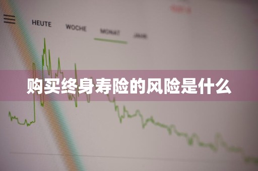 购买终身寿险的风险是什么