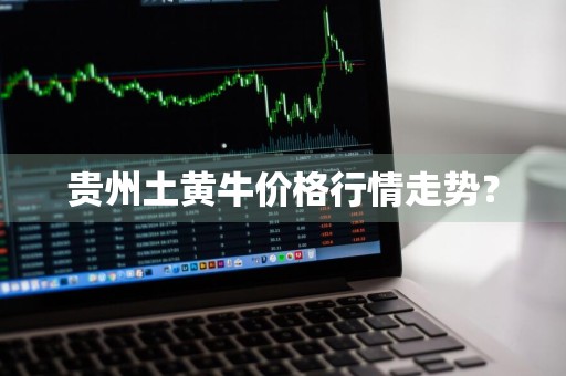 贵州土黄牛价格行情走势？