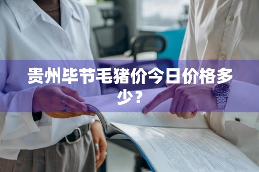 贵州毕节毛猪价今日价格多少？