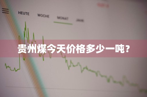 贵州煤今天价格多少一吨？