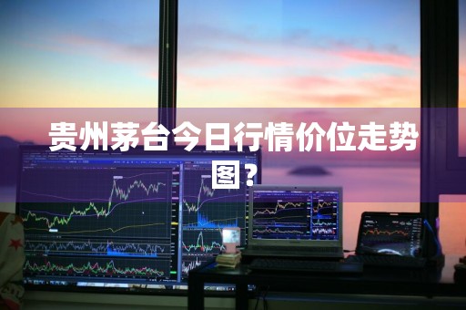 贵州茅台今日行情价位走势图？