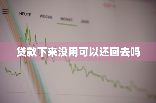 贷款下来没用可以还回去吗