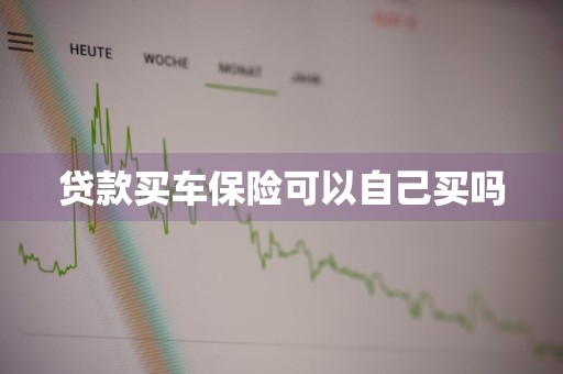 贷款买车保险可以自己买吗