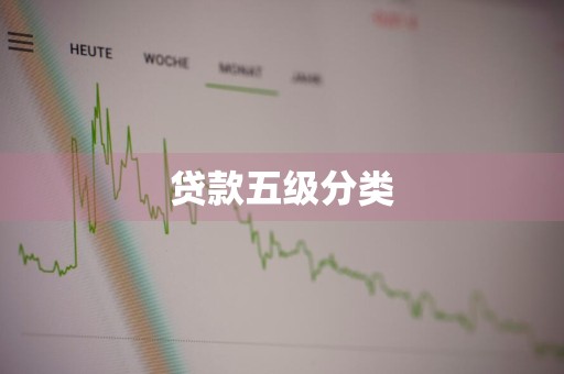 贷款五级分类