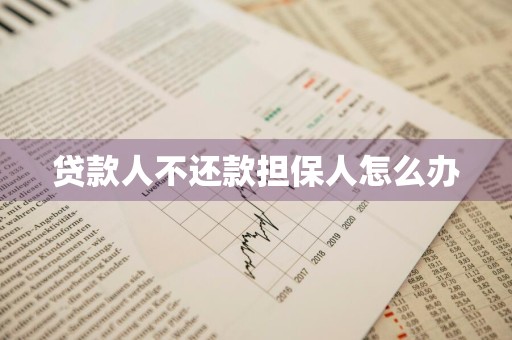 贷款人不还款担保人怎么办