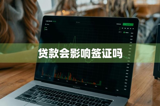 贷款会影响签证吗