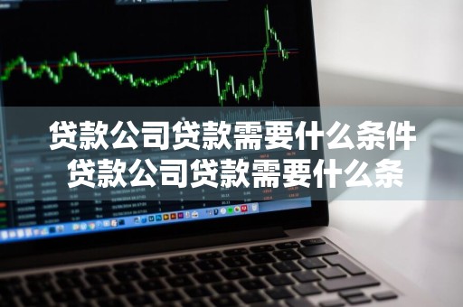贷款公司贷款需要什么条件 贷款公司贷款需要什么条件个人