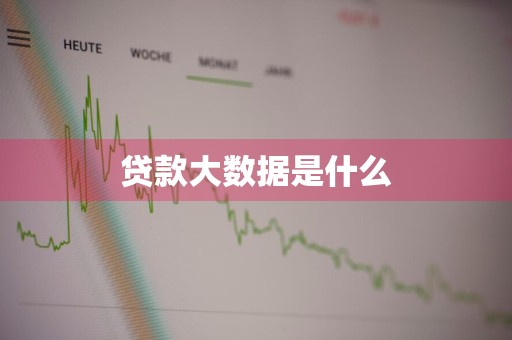 贷款大数据是什么