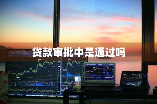 贷款审批中是通过吗