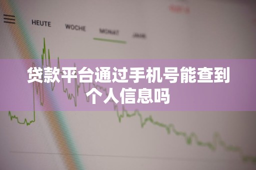 贷款平台通过手机号能查到个人信息吗