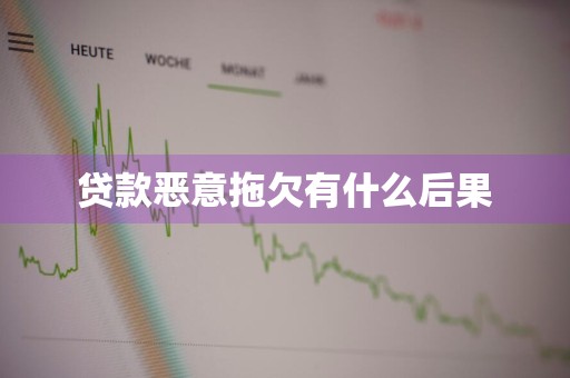 贷款恶意拖欠有什么后果