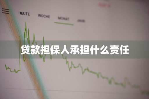 贷款担保人承担什么责任