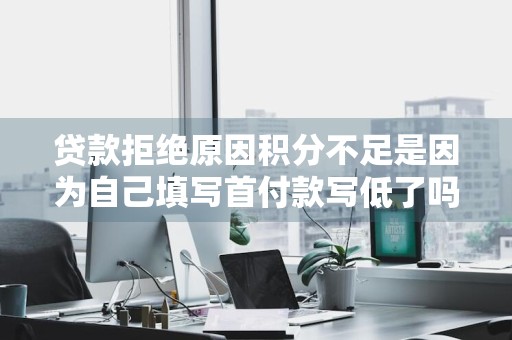 贷款拒绝原因积分不足是因为自己填写首付款写低了吗