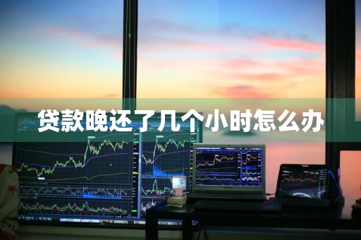 贷款晚还了几个小时怎么办