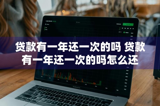 贷款有一年还一次的吗 贷款有一年还一次的吗怎么还