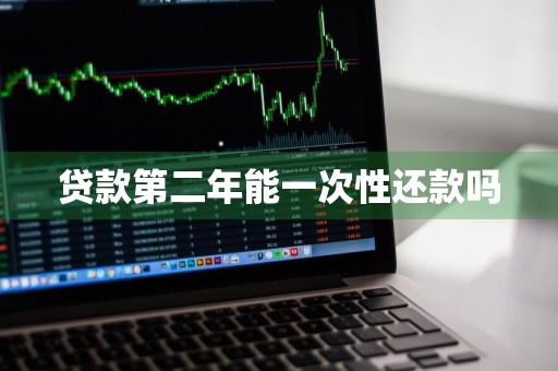 贷款第二年能一次性还款吗