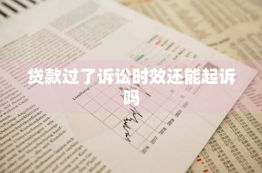 贷款过了诉讼时效还能起诉吗