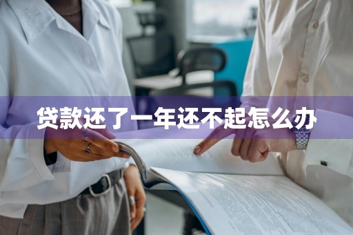 贷款还了一年还不起怎么办