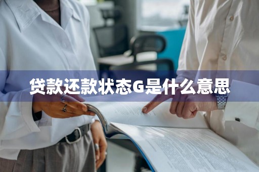 贷款还款状态G是什么意思