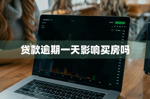 贷款逾期一天影响买房吗