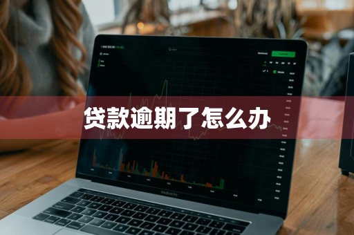 贷款逾期了怎么办